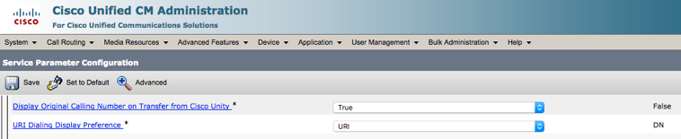 URI Dialing Display Preference