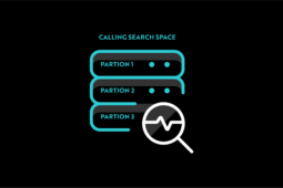 Cisco Calling Search Space and Partition